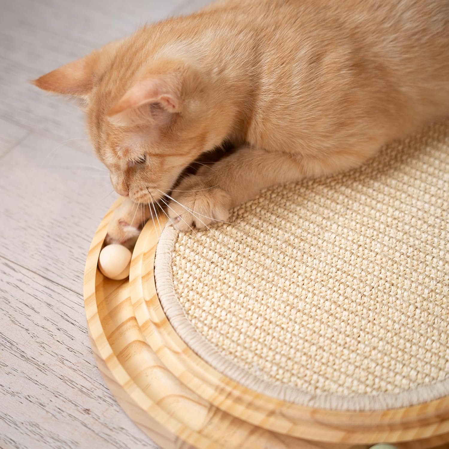 cat scratching board (2)
