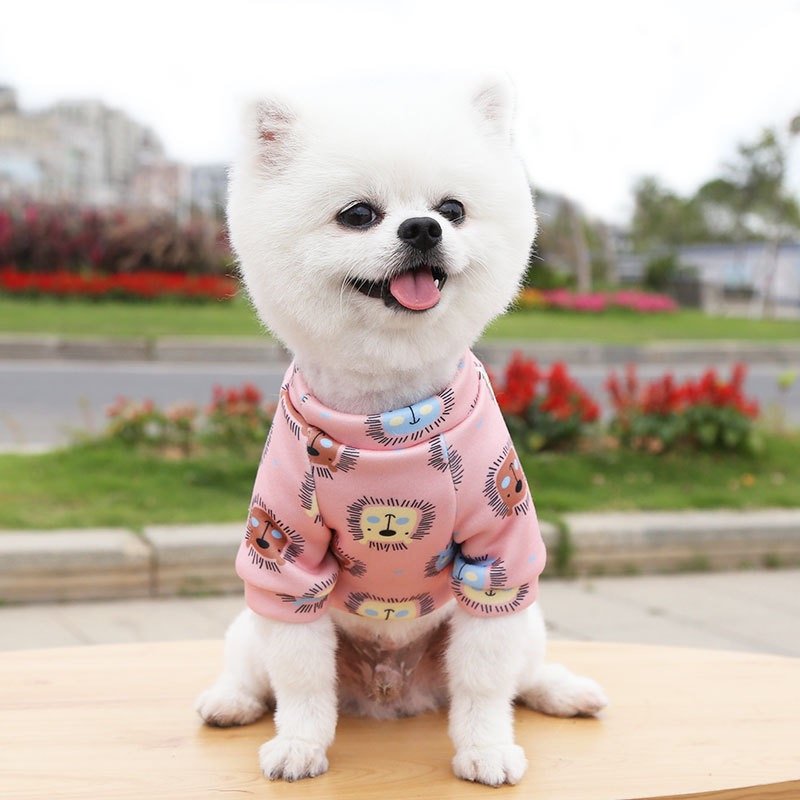 cut dog clothes (2)