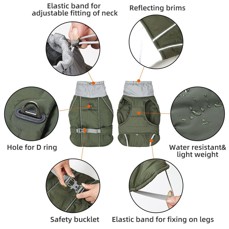 dog winter clothes for outdoor (1)