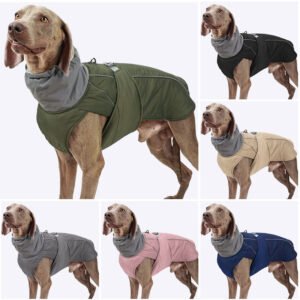 dog winter clothes for outdoor (11)