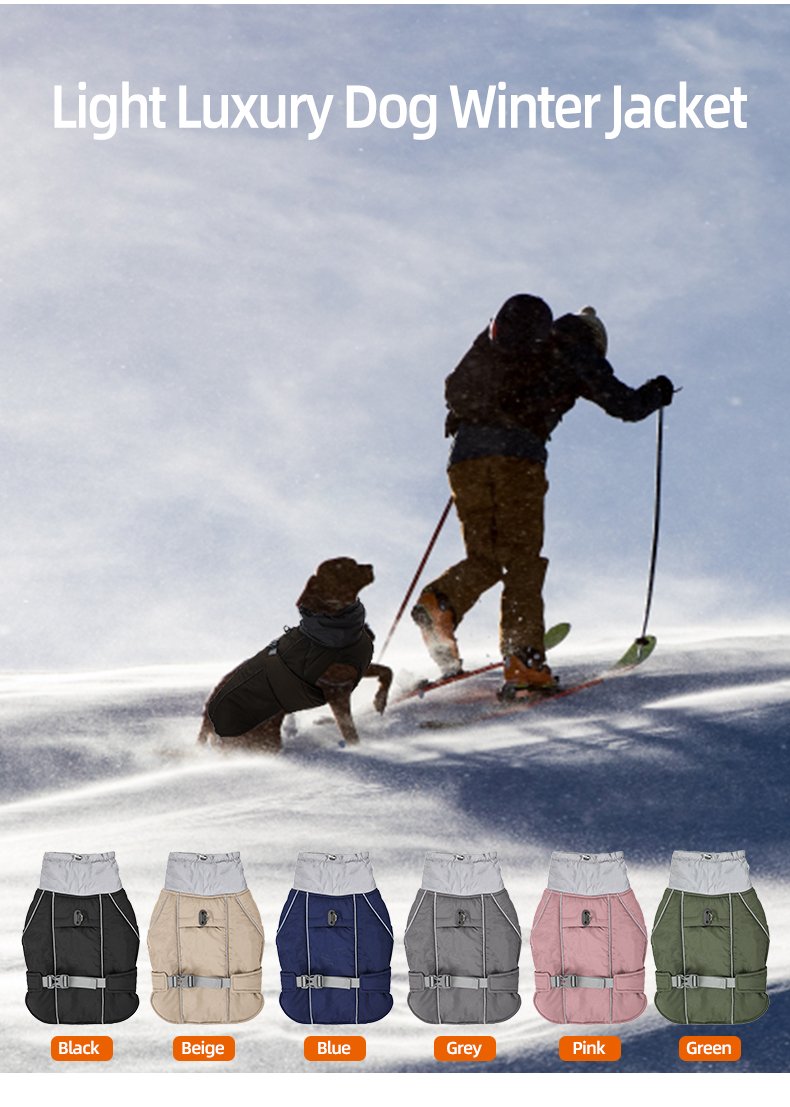 dog winter clothes for outdoor (4)