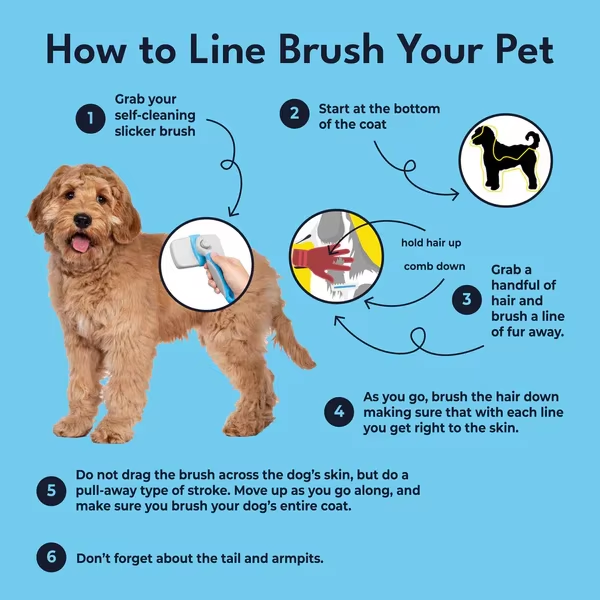 pet deshedding brush (4)