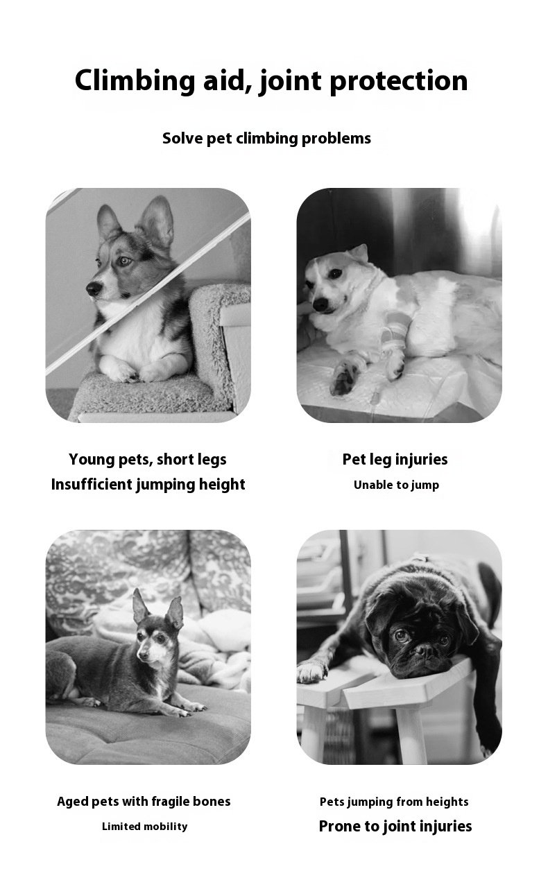 pet slope ladder pet stair (2)