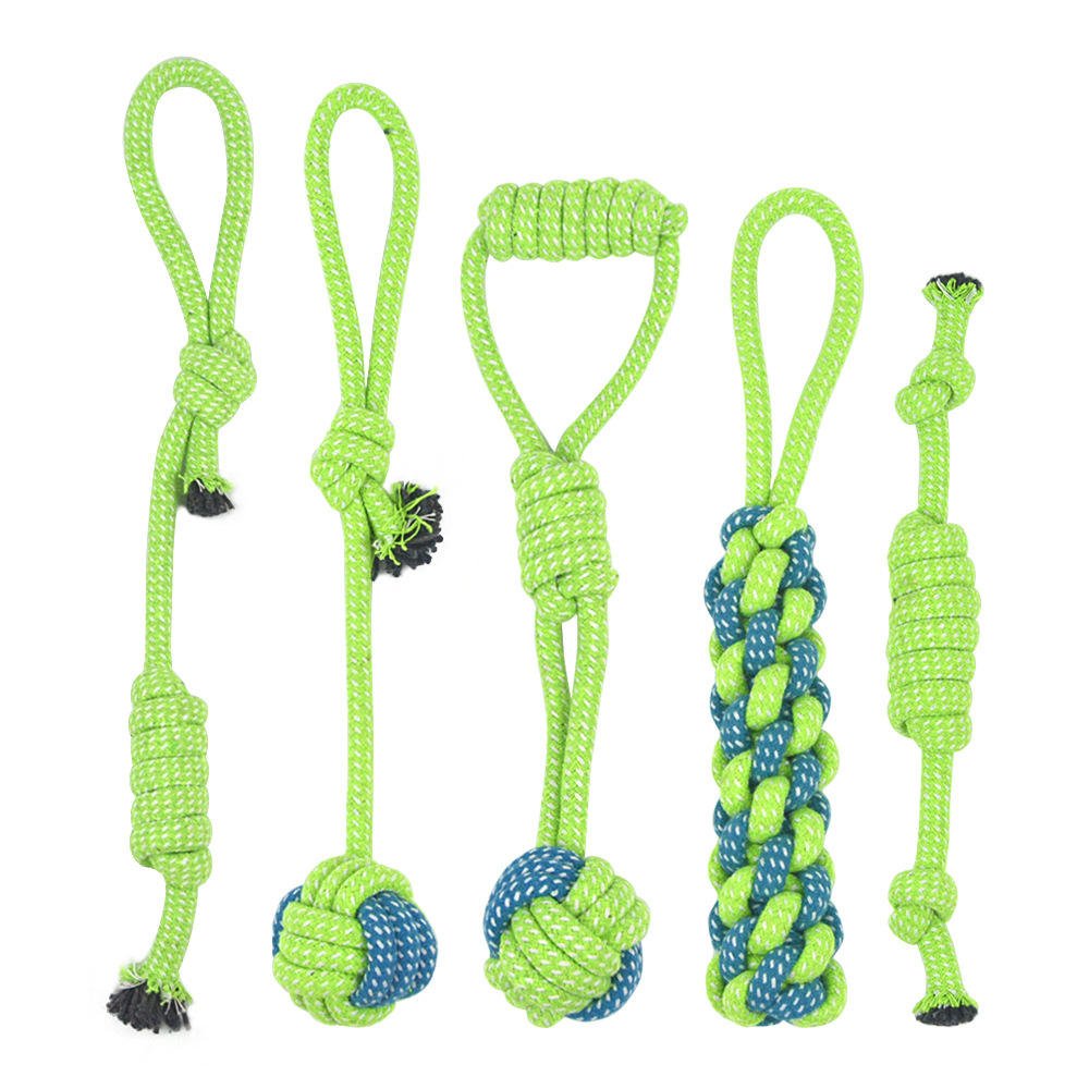 pet toy (1)
