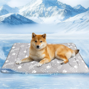 summer dod mat (1)