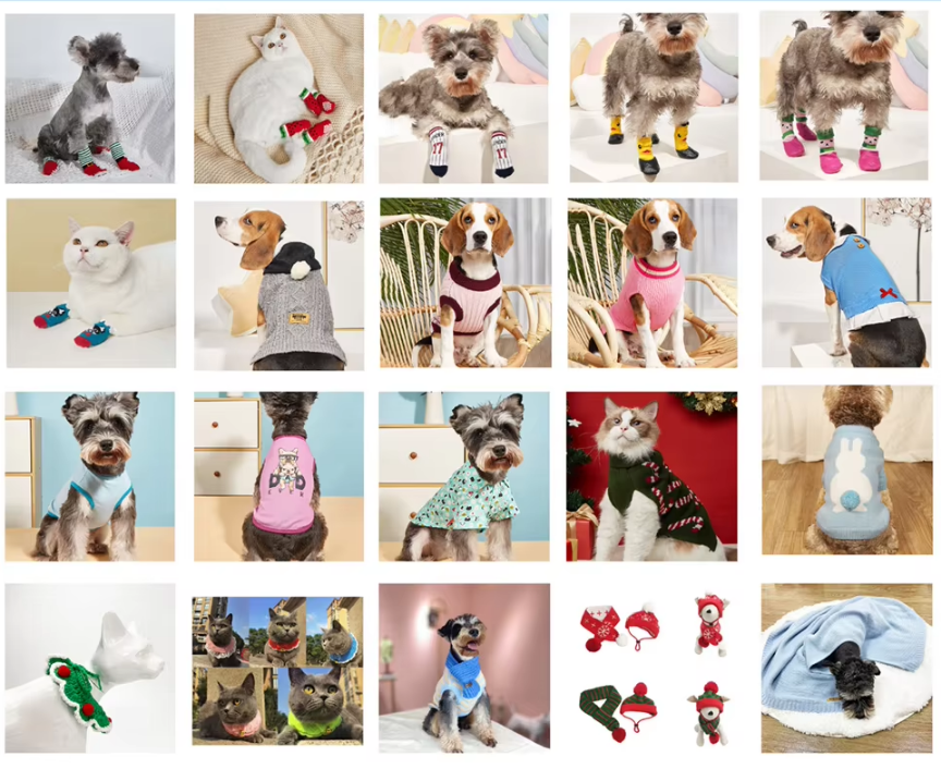 Dog Clothes– Funny Cut Design for Small dog wechat 2026 07 30 140140 401