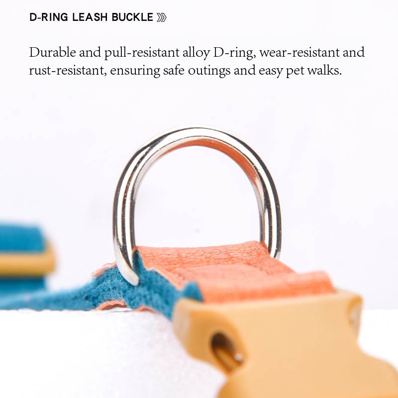 adjustable dog collar (2)