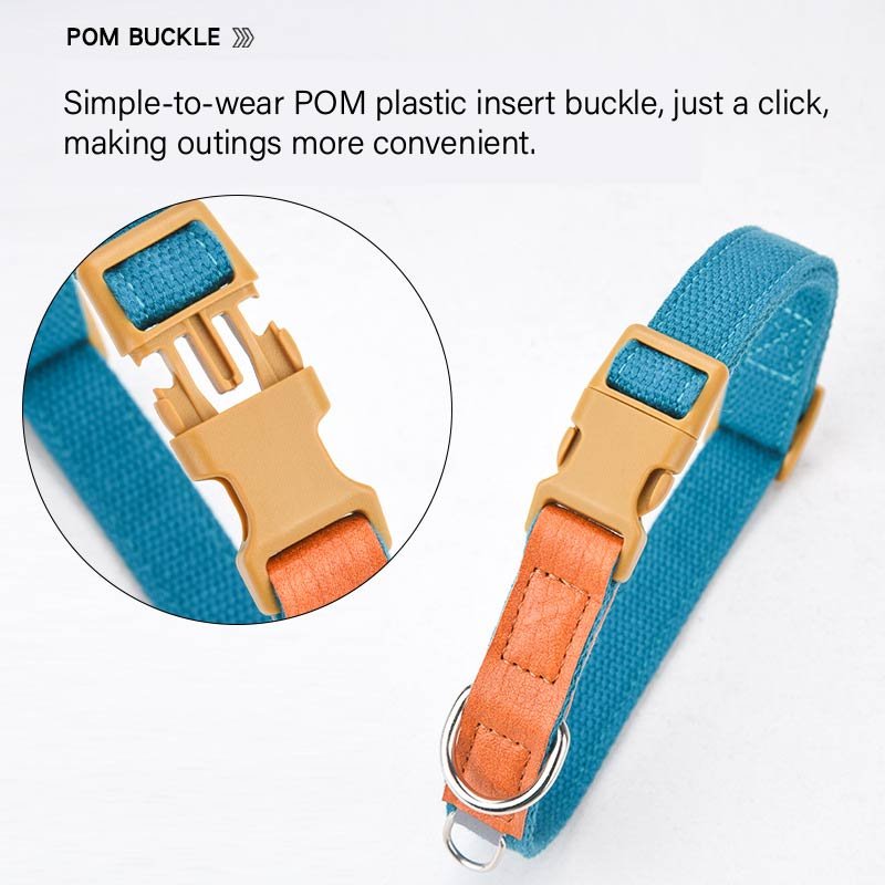 adjustable dog collar (3)