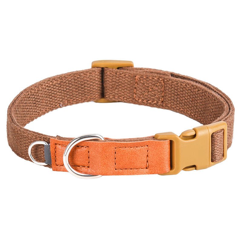 adjustable dog collar (4)