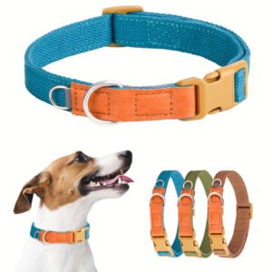 adjustable dog collar (5)