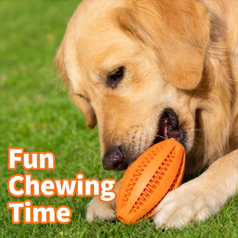 dog interactive ball (4)