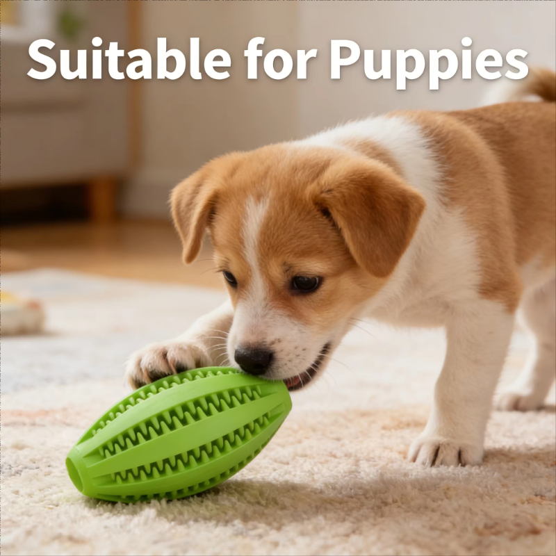 dog interactive ball (6)