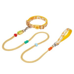 dog leash (1)