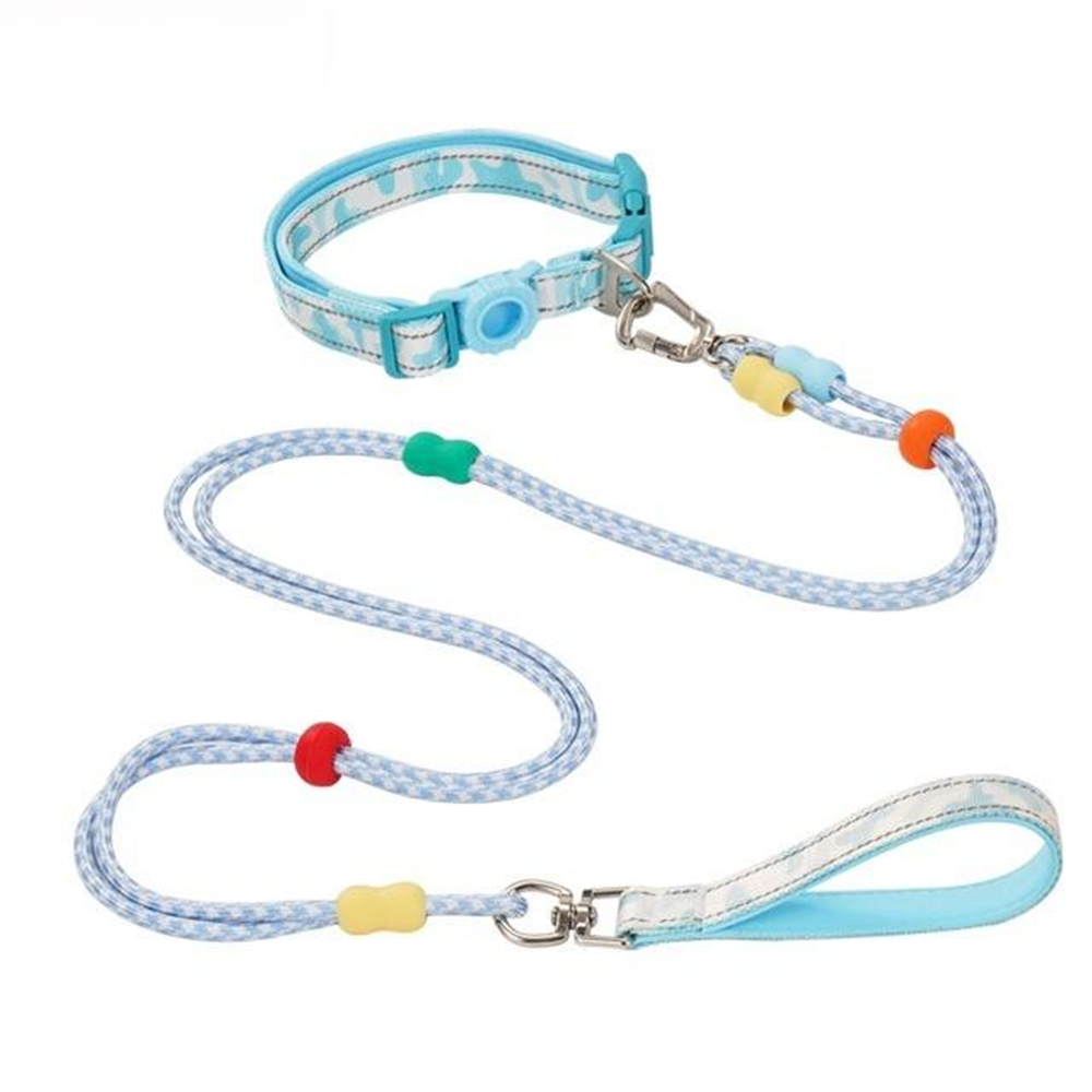 dog leash (1)