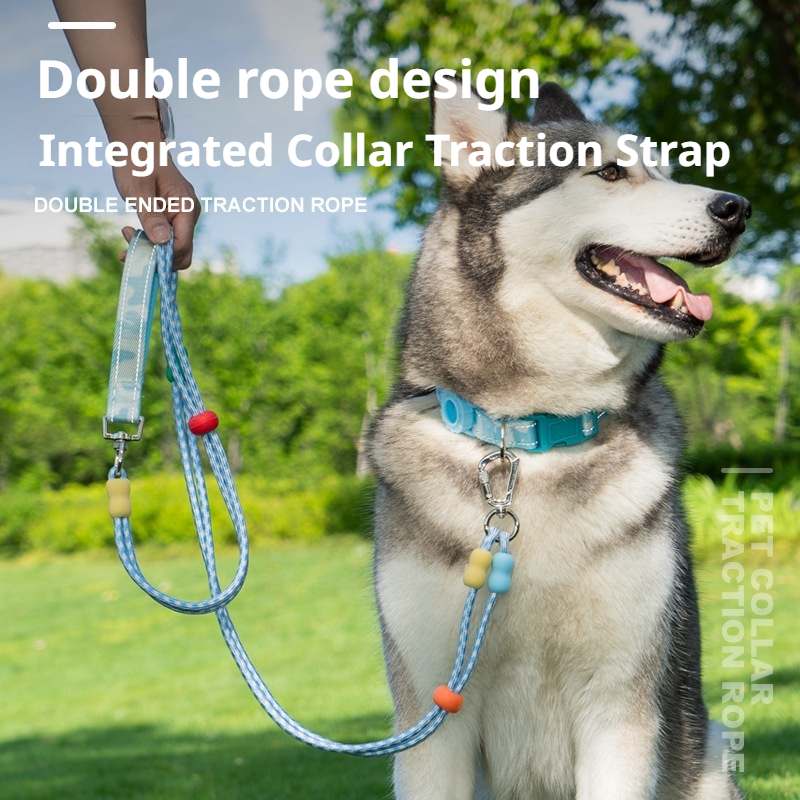 dog leash (2)