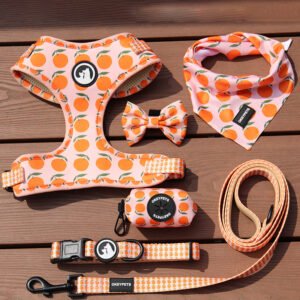 dog leash and collar set (10)