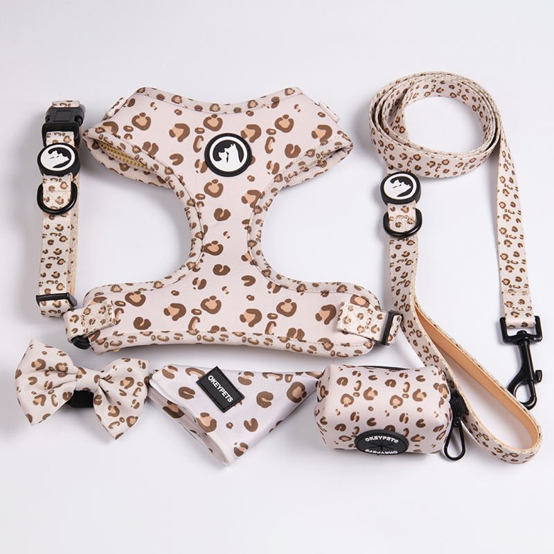 dog leash and collar set (4)
