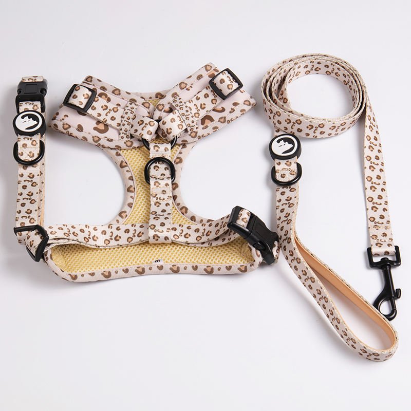 dog leash and collar set (5)