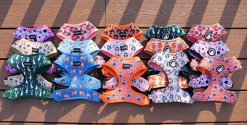 dog leash and collar set (6)