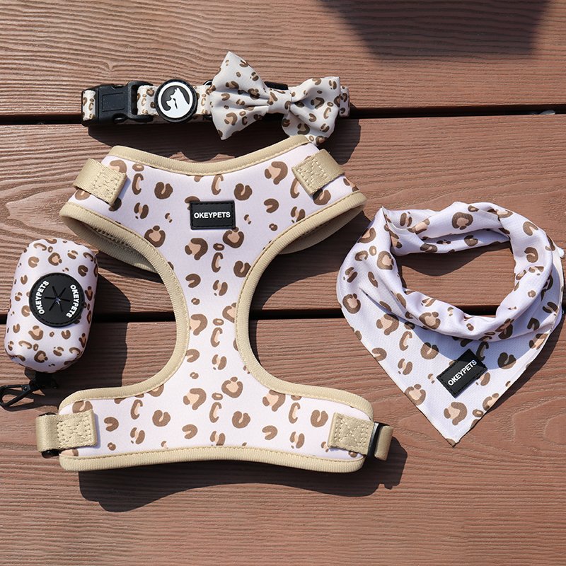 dog leash and collar set (7)