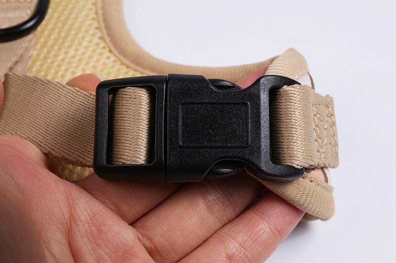 dog leash and collar set (8)