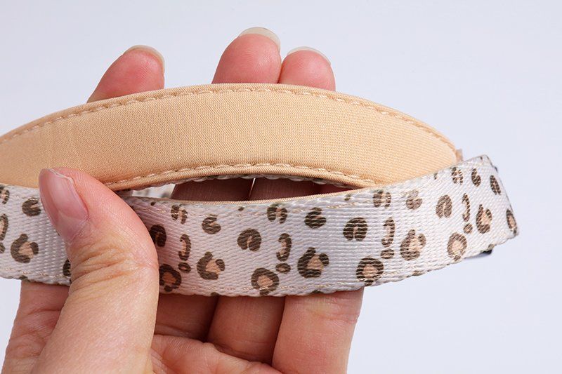 dog leash and collar set (9)