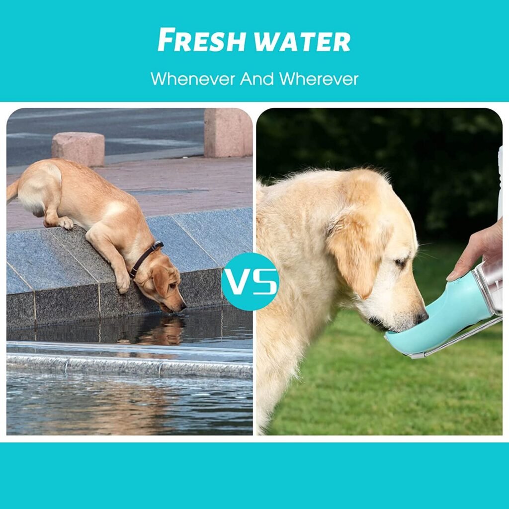 dog water bottle (6)