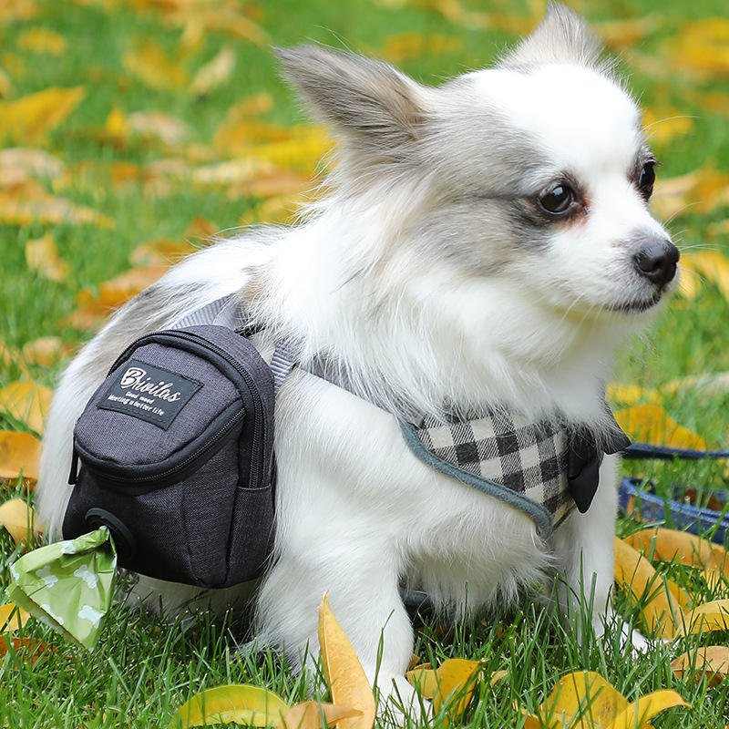 pet outdoor bag (3)