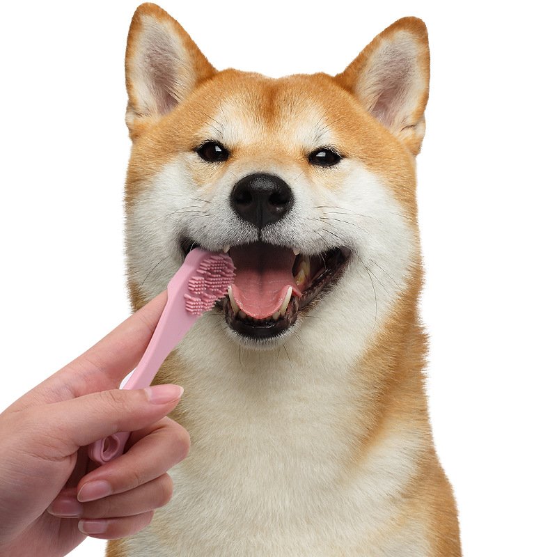 pet tongue cleaner (3)