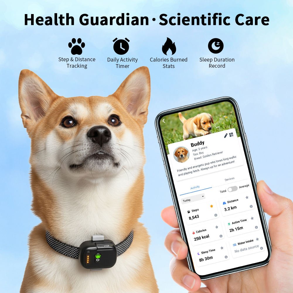 pet tracking device (4)