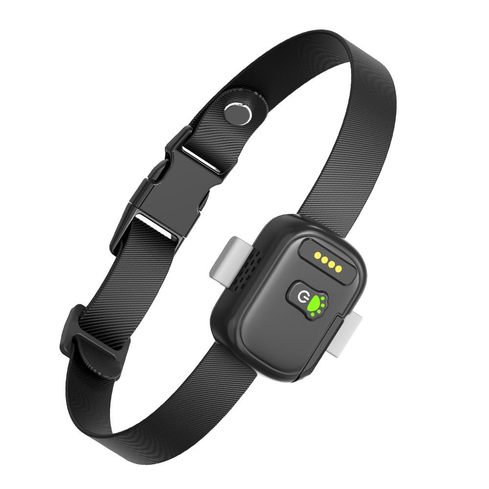 pet tracking device (5)