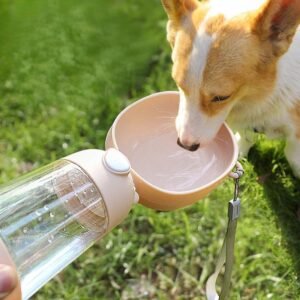 pet water food container (1)