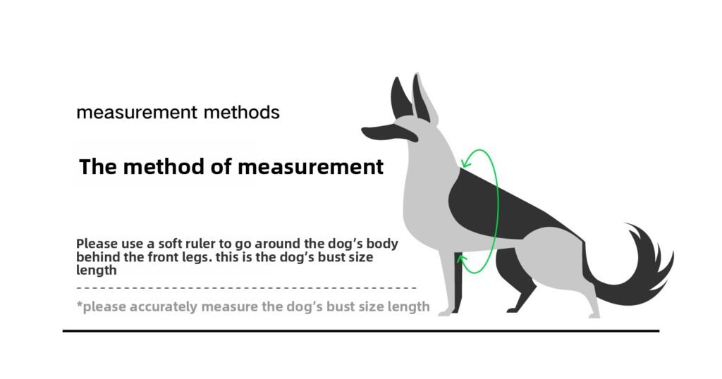 dog harness (2)