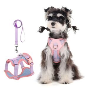 nylon dog harness (1)