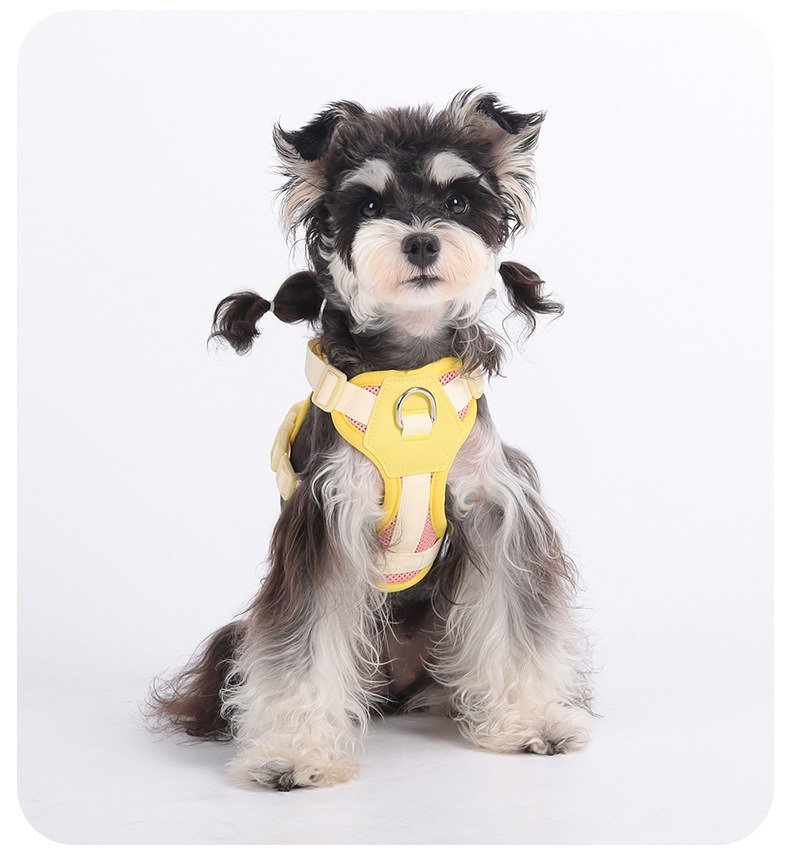 nylon dog harness (7)