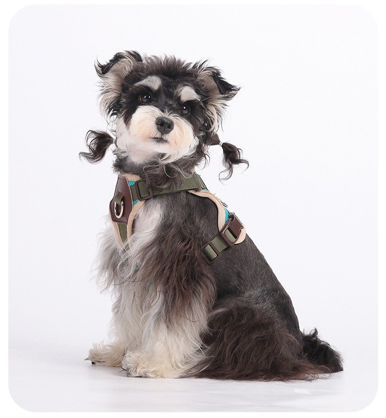 nylon dog harness (8)