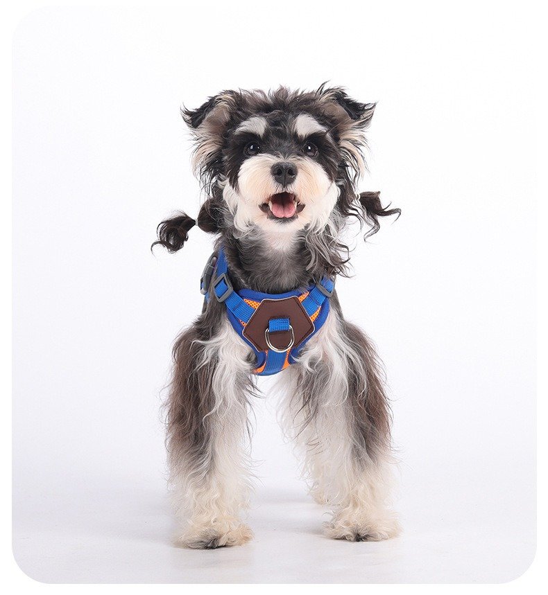 nylon dog harness (9)