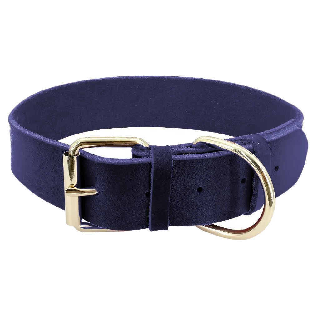 pu leather collar (2)