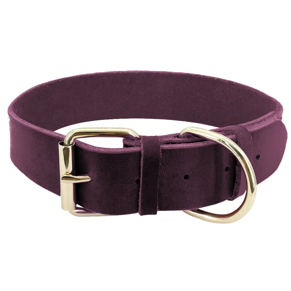 pu leather collar (3)