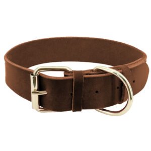 pu leather collar (4)