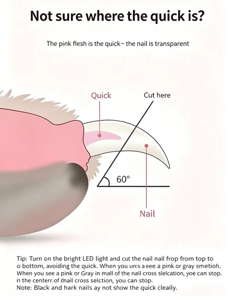 pet led nail clipper (4)