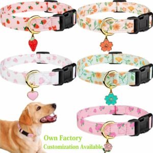 dog collar (7)