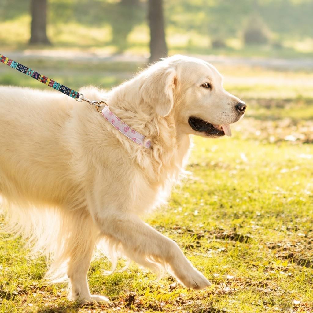 Soft cotton collar for dogs Soft cotton collar for dogs