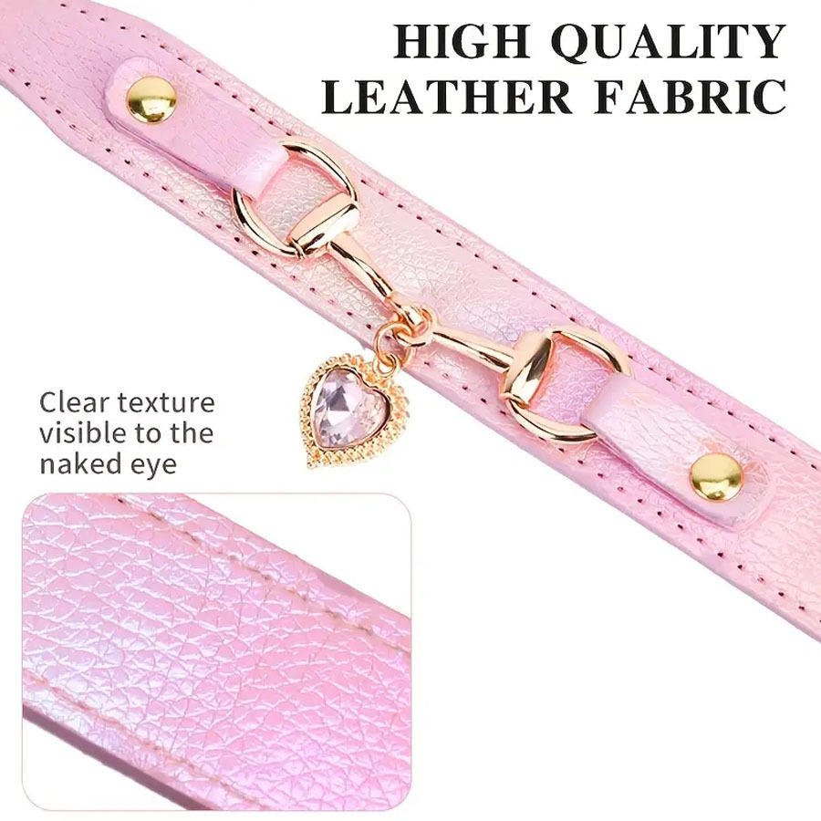 Fashion rhinestone pet accessory
