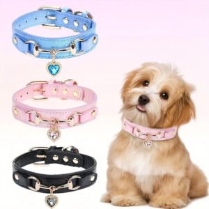 dog leather collar (5)