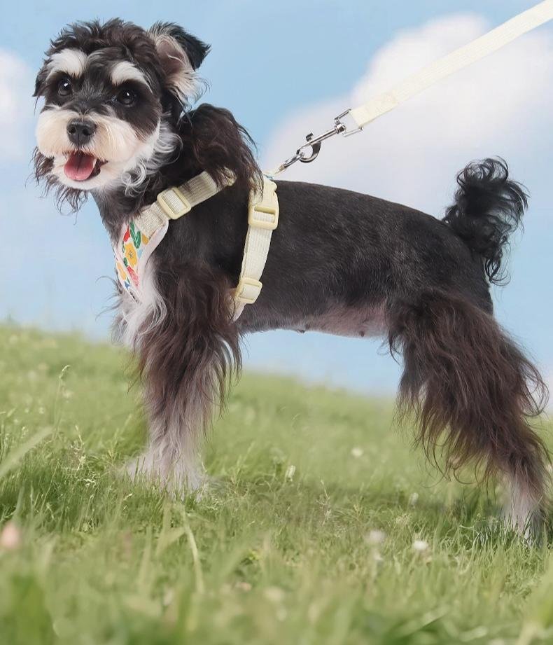 wholesale X-shaped dog harness