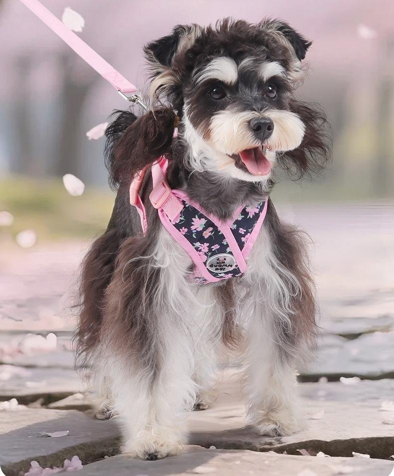 custom logo pet harness custom logo pet harness