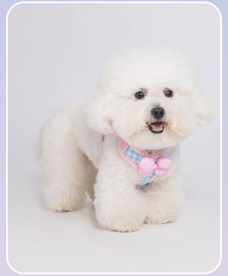 Wholesale Bowknot Plaid Dog Harness & Leash Set – Adjustable Pet Walking Vest pet bowknot harness (9)